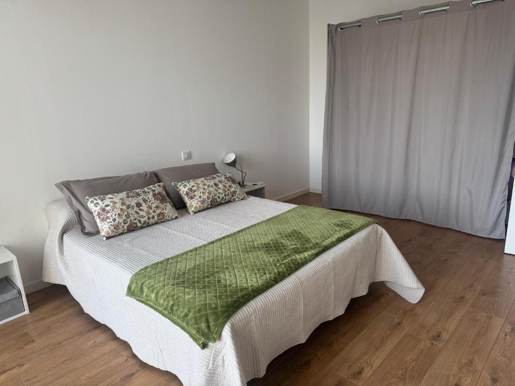 Ajaccio appartement 4 couchages, climatisé a 150m de la plage route des sanguinaires, parking privé - 3