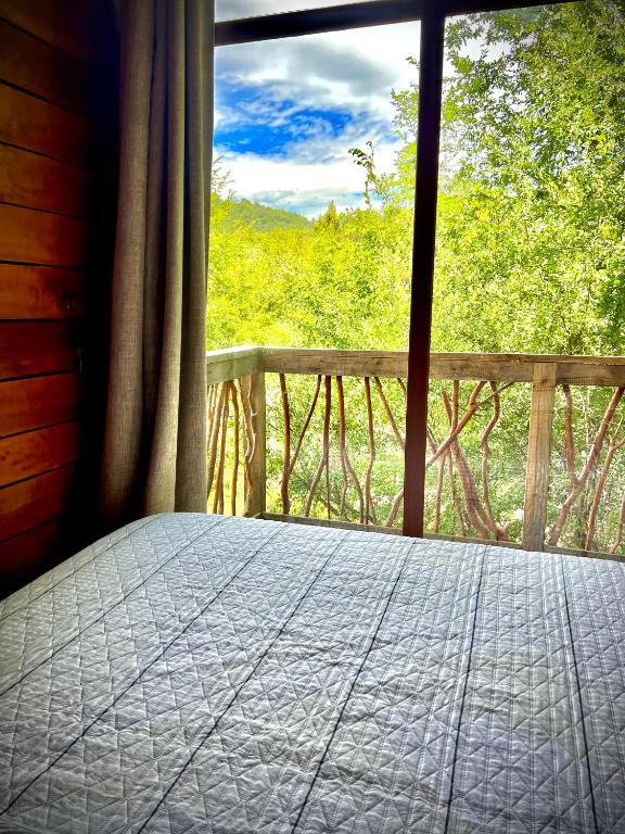 Cabaña Los Temos - Le Petit chalet - 2