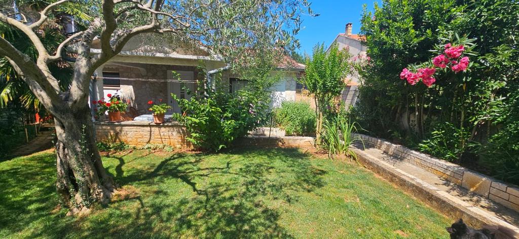 Apartment Jasminka, Funtana