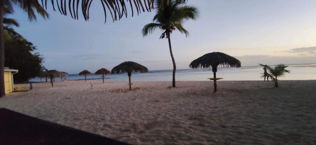 Le Tiaré, Saint-François