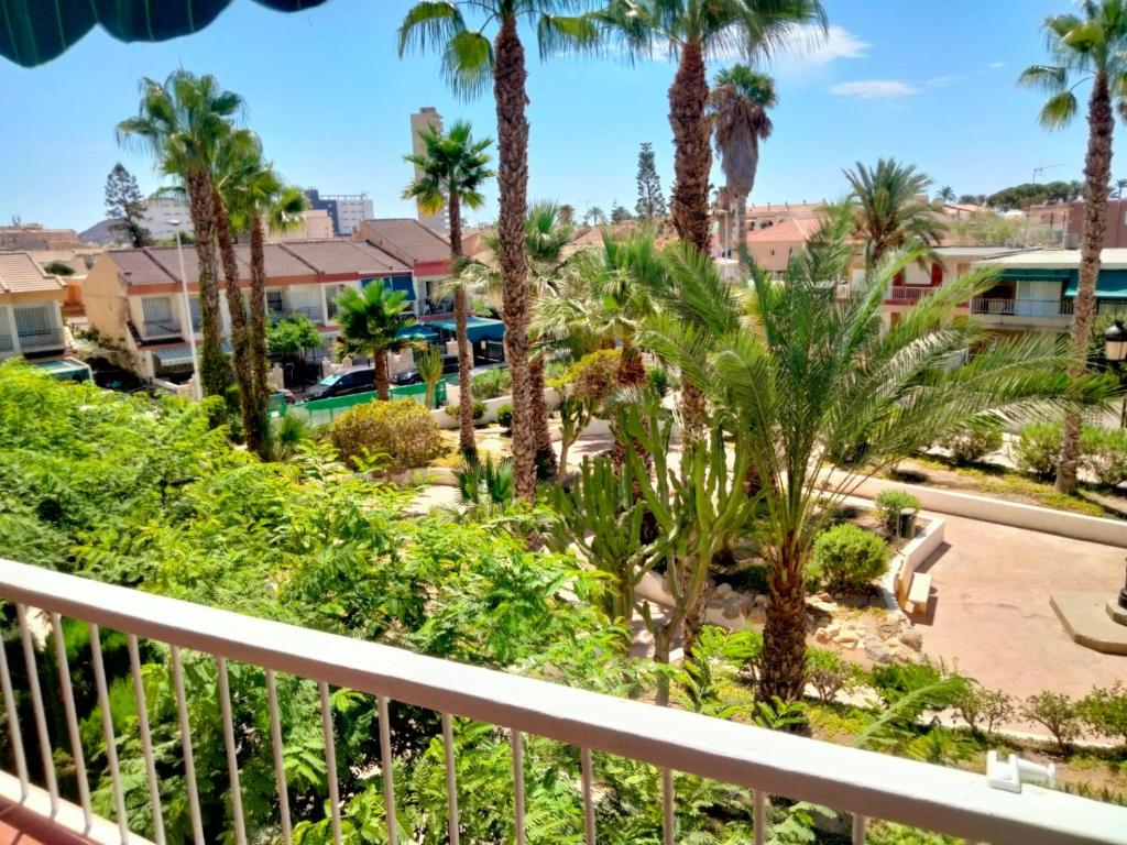 La Reya, Puerto de Mazarrón