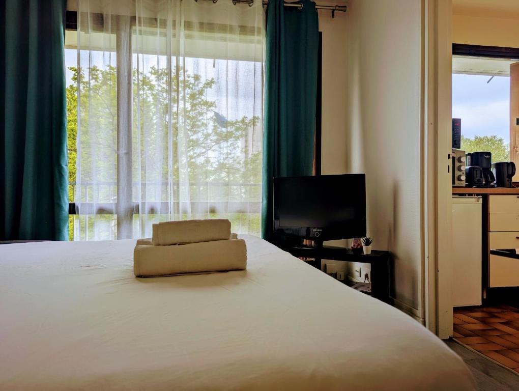Budget apart with balcony - 3