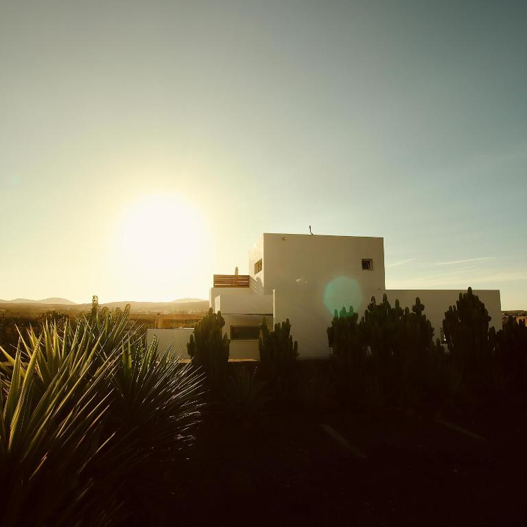 Vitamin Sea Guesthouse - 1