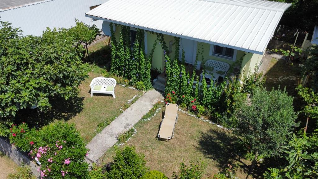 Green House and garden - 4