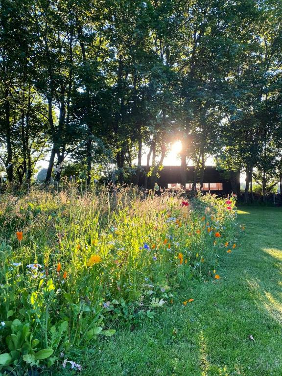 Tiny House By Bjerregrav Marsh And Nature, Randers