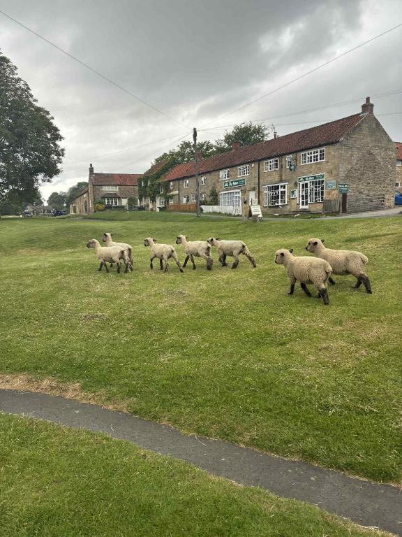 The Barn Guest House and Tearoom, Hutton le Hole