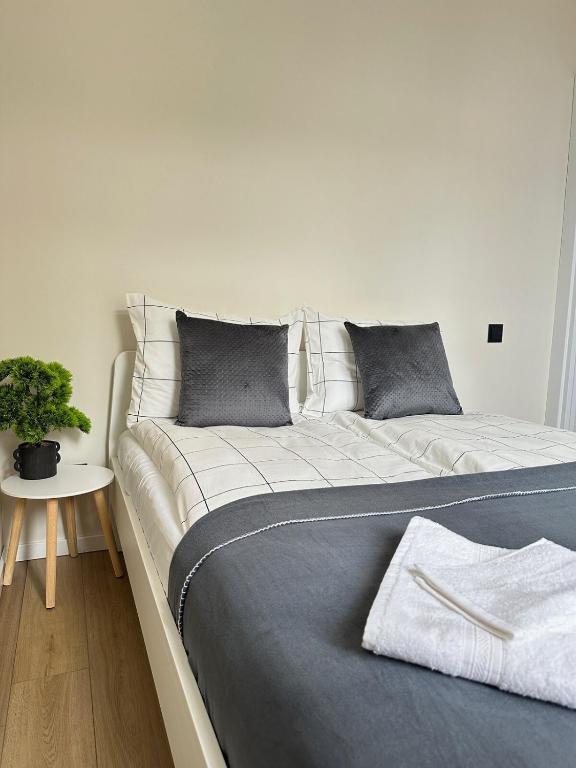 Marijas Two-Room Apartment, Riga