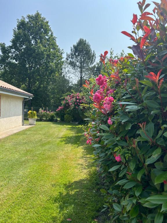 Villa au milieu des pins climatisée - 3