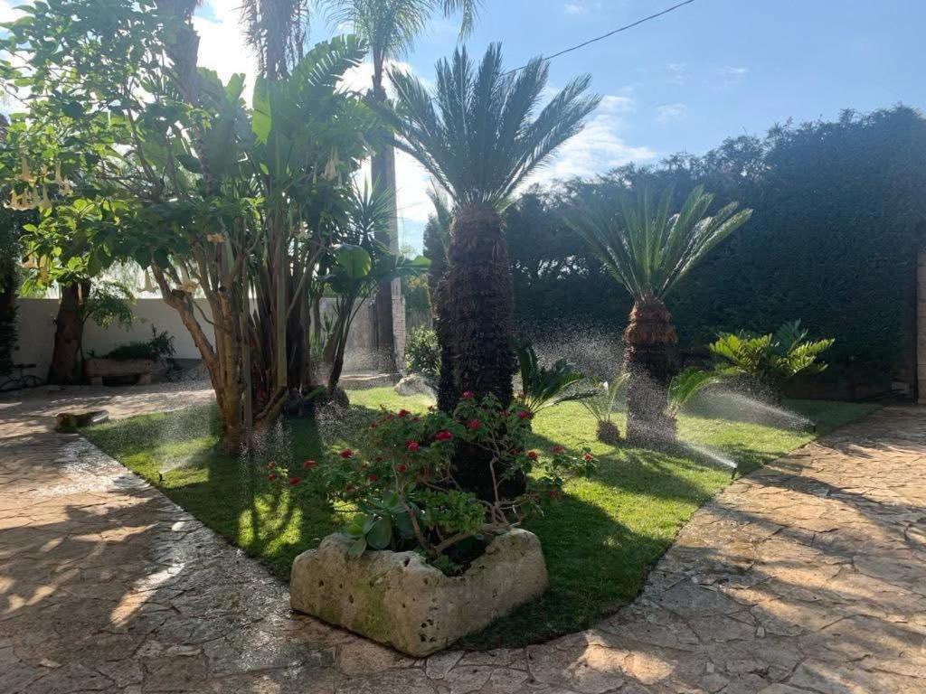 Villa Erika - 3