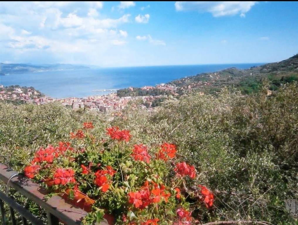 Agriturismo Portofino - 4