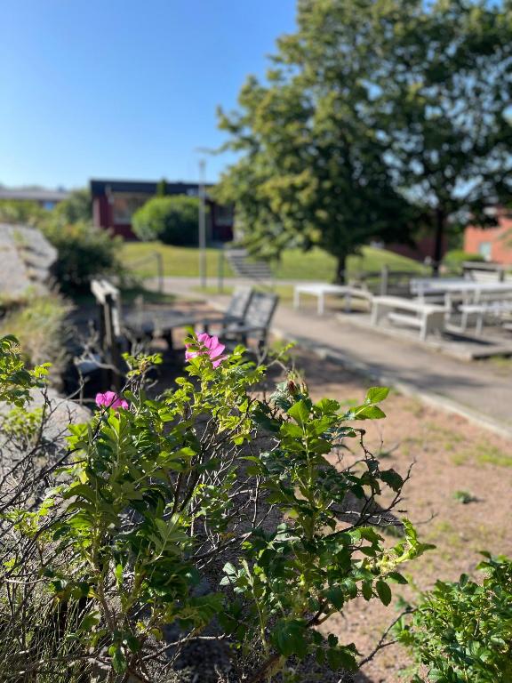 Fjord Hostel Rooms, Lysekil