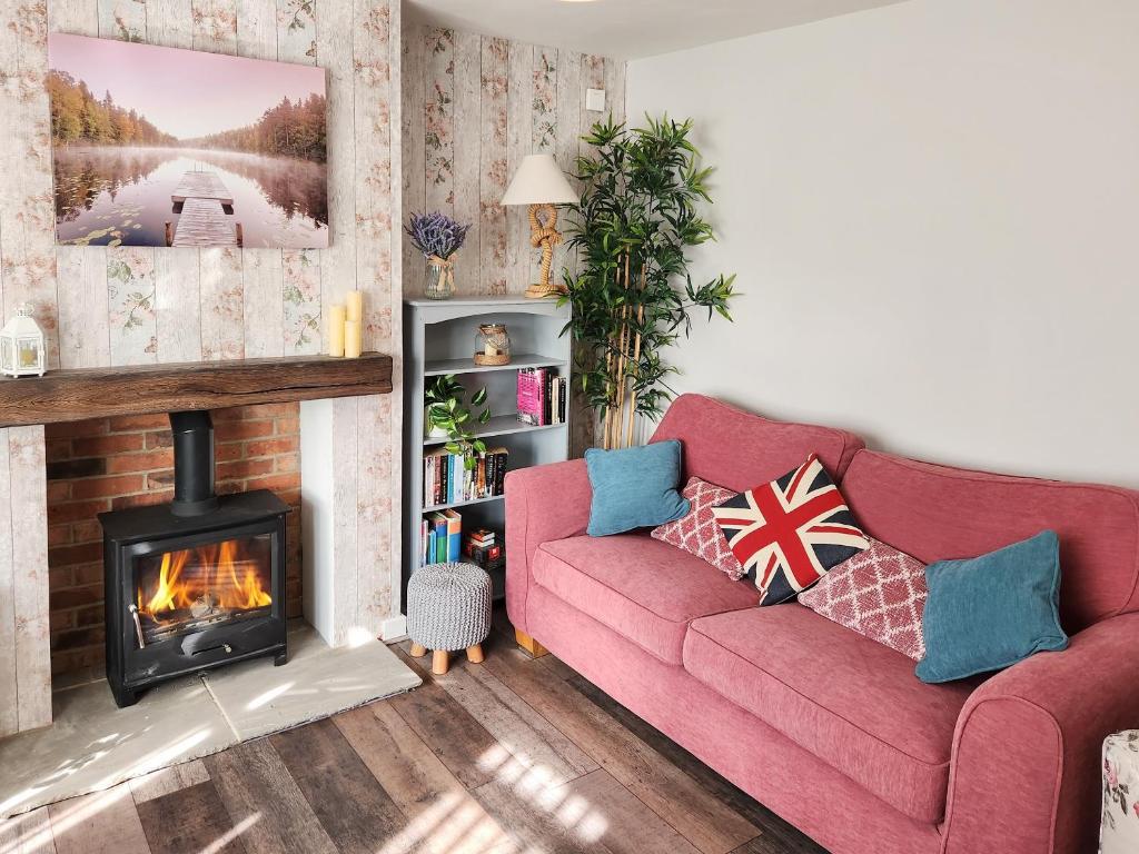 Little Tern, Beadnell