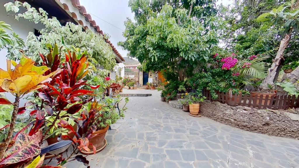 Finca Paraiso Casa Rural Tenerife Ecoturismo - 5