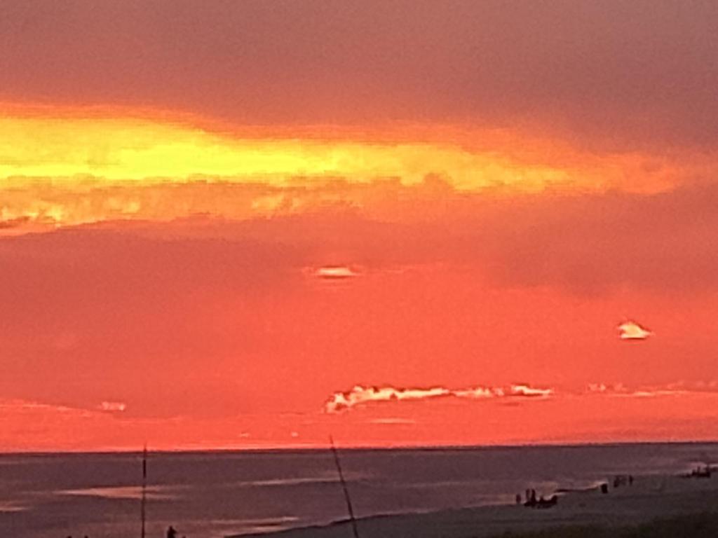 Sol naciente - 4