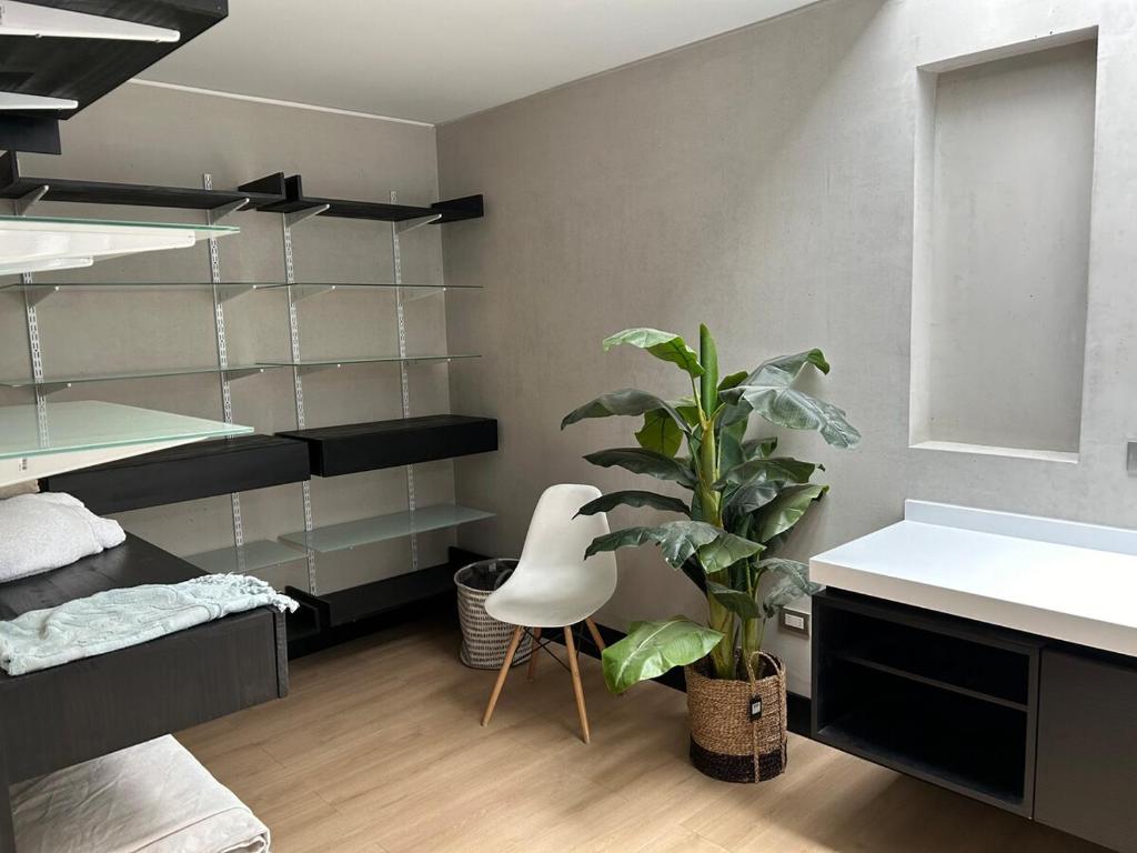 casa los paintores - 2