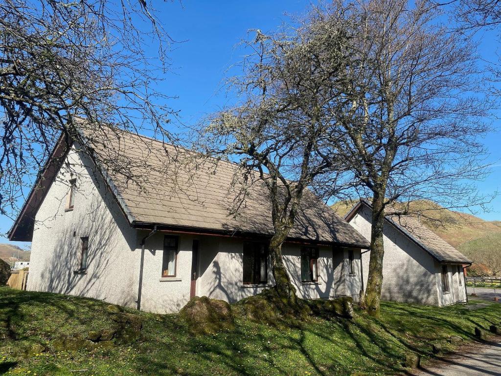 Puffin - Kerrera, Lerags