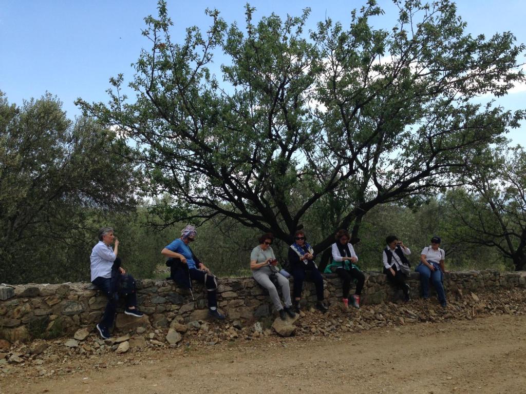 Surrounding environment