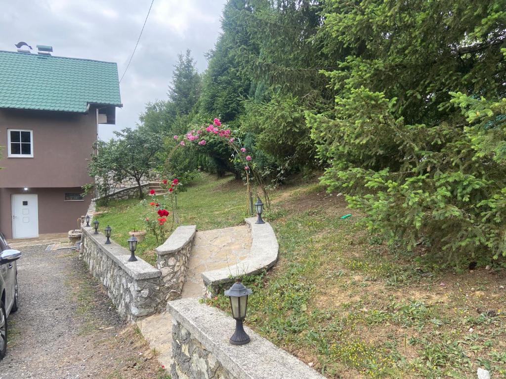 Zeleni kutak - 5