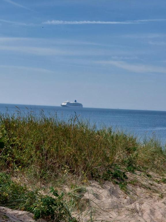 Butas-studija, Palanga