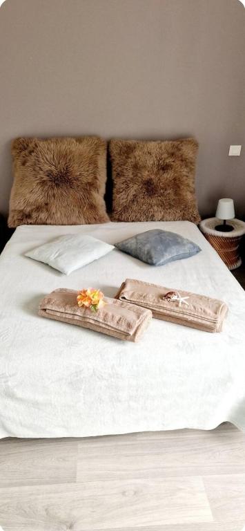 Chambre cocon avec accès sur terrasse panoramique vue forêt, Bayonne