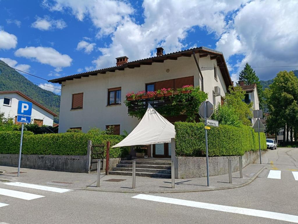 Gravitacija East, Tolmin