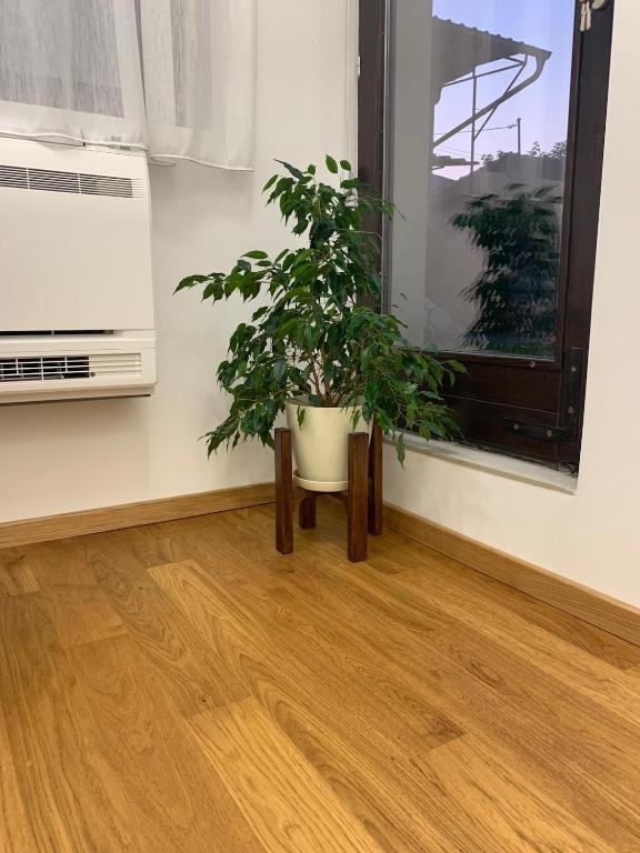 Apartment Jovic - 3
