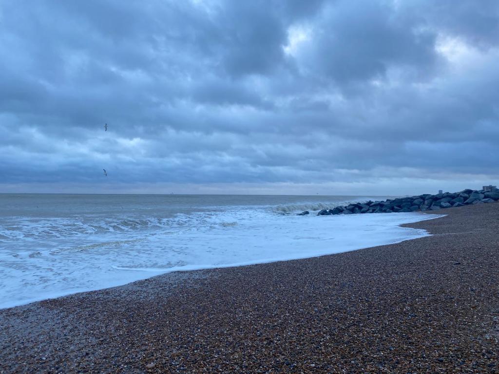 HenreeenOnWidewater, Worthing photo 8