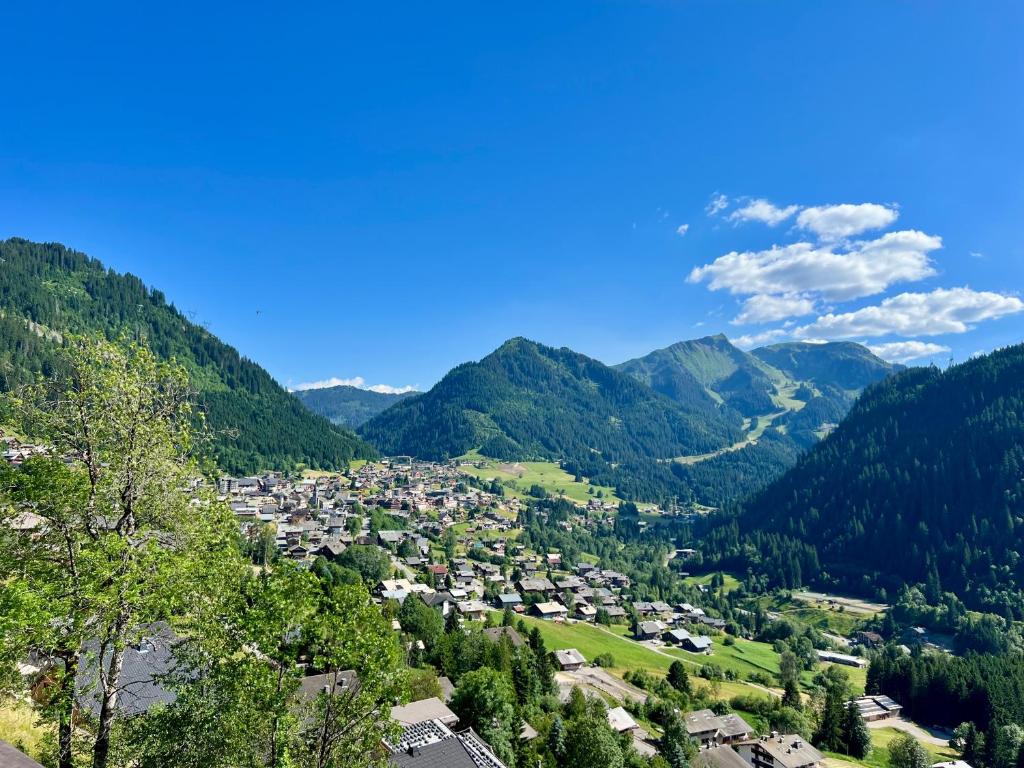 Chalet Mitoyen LA SAPINETTE - Bo Immobilier -Châtel Multipass 2026 Activités en Été offert par votre hôte - 4