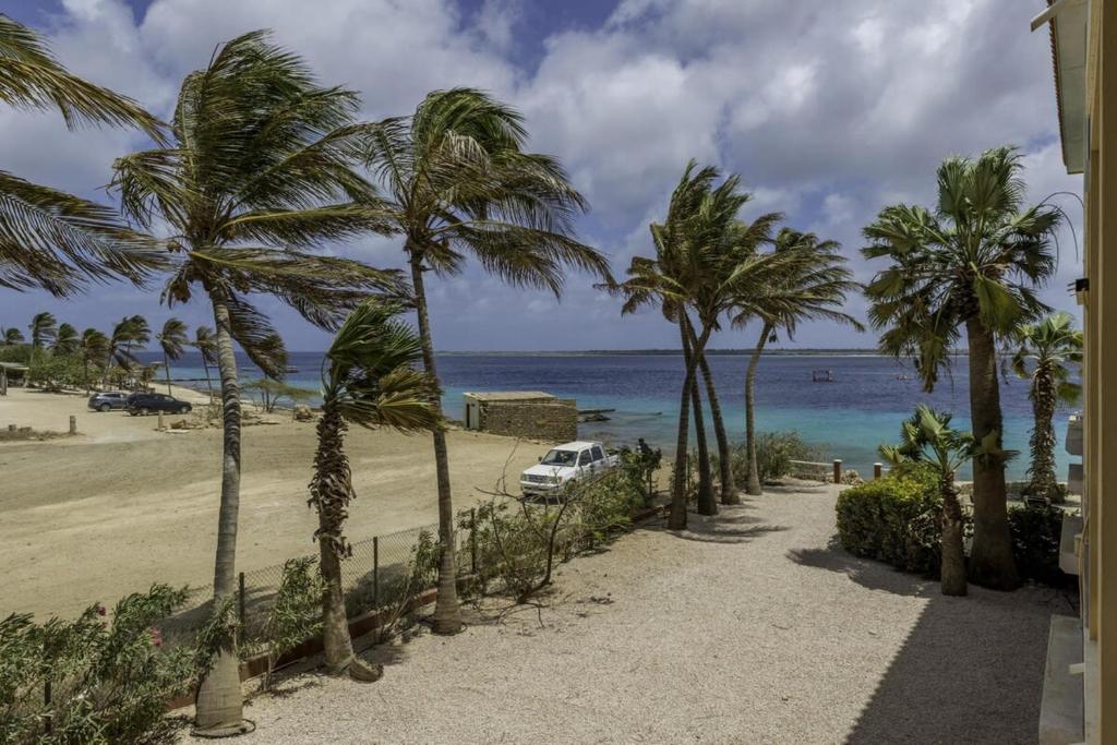 Seaview Wahoo at Den Laman, Kralendijk