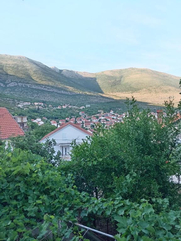 Apartman View - 4
