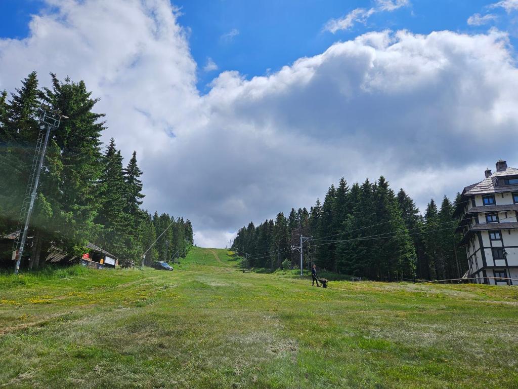 Woodside apartments Kopaonik with garage - 2
