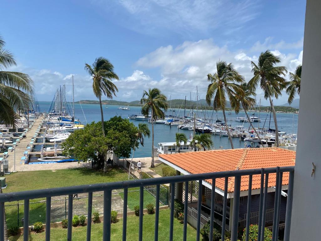 Prívate Island in the Caribbean, Fajardo