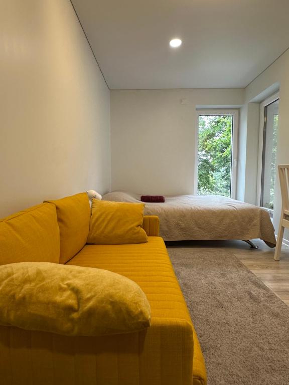 Studijos tipo apartamentai, Palanga