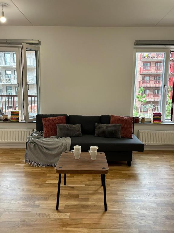 Large studio apartment in Limhamns Harbour Malmö, Herräng