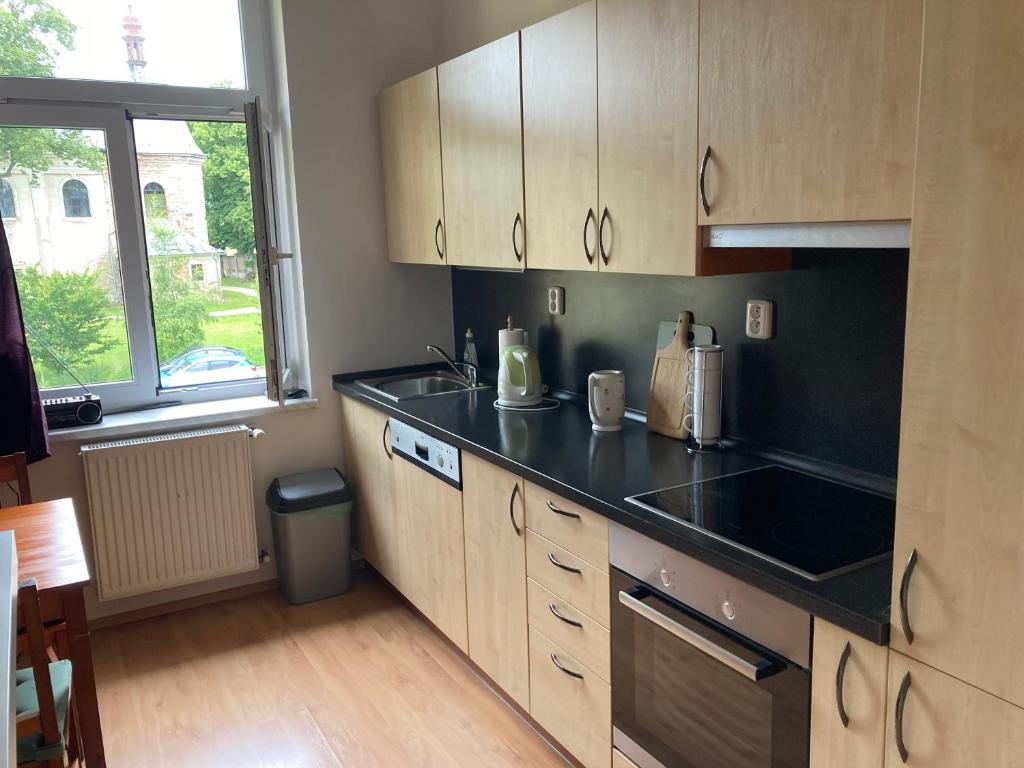 Apartmán Ski & Bike U Myšáka, Černý Důl