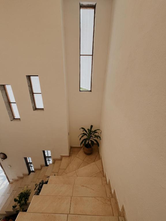 Casa Margil - 3