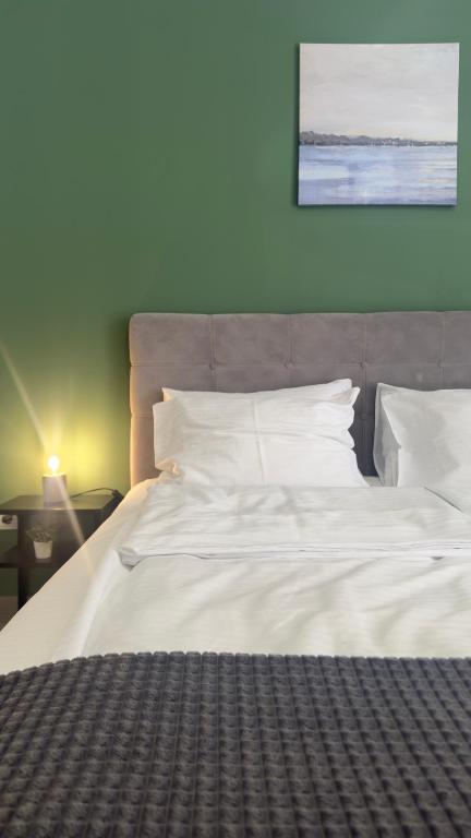 Code Srebrno Jezero, Veliko Gradište