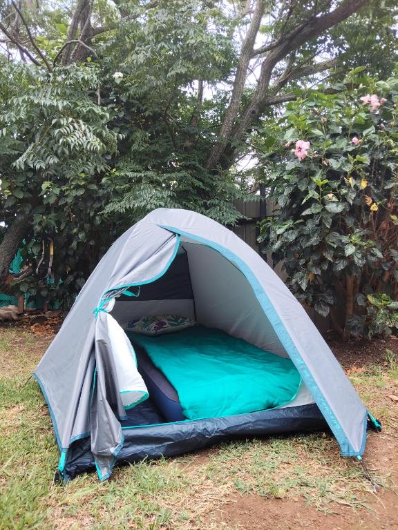 Moehiva Camping Rapa Nui - 4