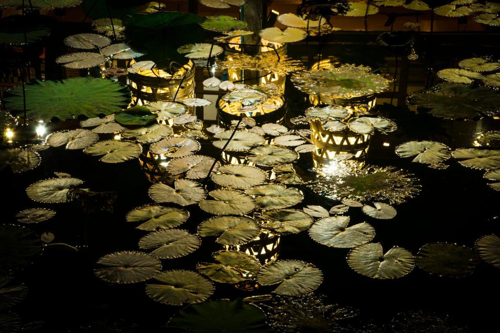 Surrounding environment