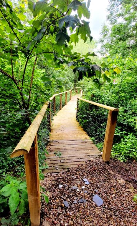 Treehouse In Devon - riverside woodland hideaway, Beaworthy