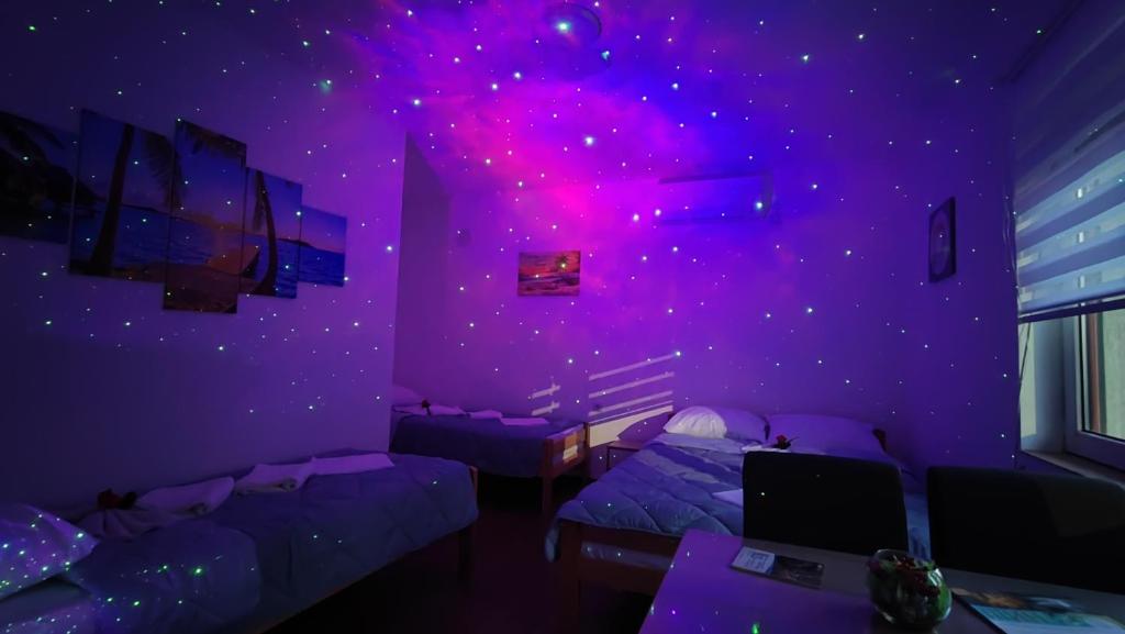 TNT accommodation - 5
