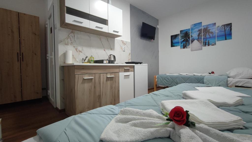 TNT accommodation - 2
