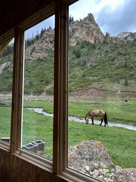 Camp Moldo pass on the road to Son Kol lake, overnight stay, meals, tea, coffee, Jangy-Talap