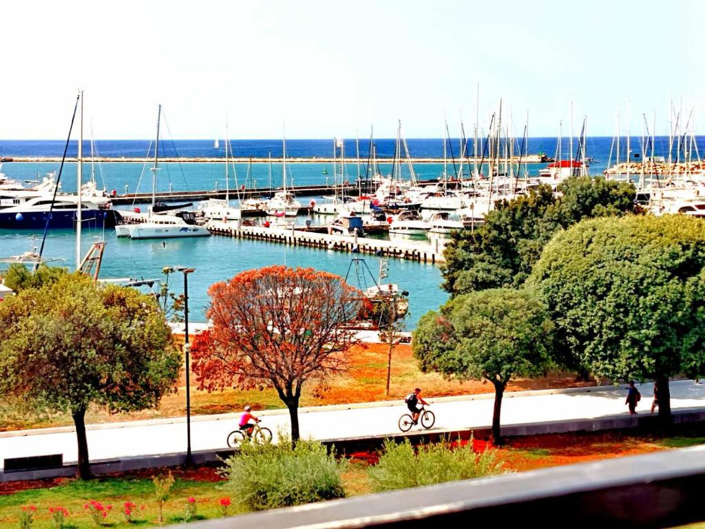 SeaView Studio, Umag