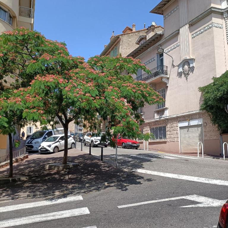 Le St Nicolas, Cannes