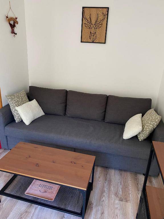 Appartement T2 Les Capucines avec balcon et wifi proche de l'hyper centre Mont Dore - 3