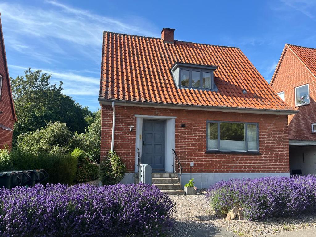 Cozy Gateway to Langeland, Rudkøbing
