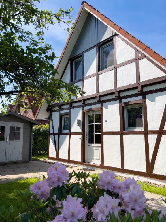 Wattenmeerbrise, Dorum Neufeld