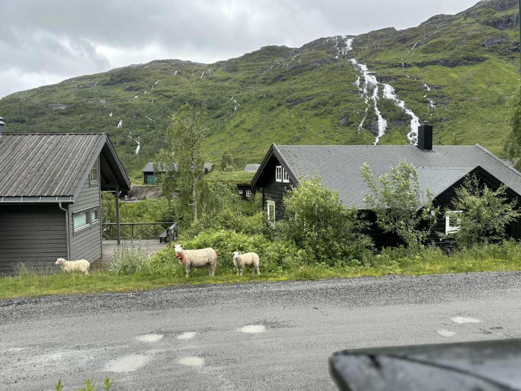 Ski in ski out mountain apartment, Håra