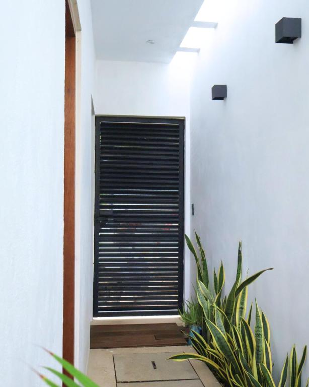 Chan Studio Tulum - 4